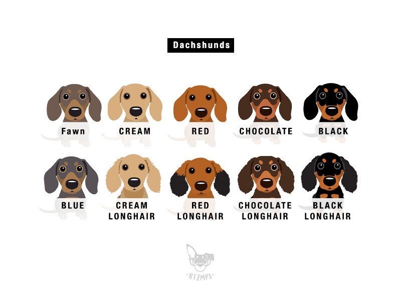 3x Dachshunds Sticker Planner Agenda Stickers Doxie Sausage Dog Weiner Dog - Image 3