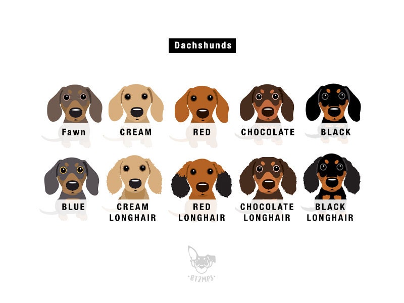 Dachshund Valentine's Day Card: I Woof You Hearts - Image 2