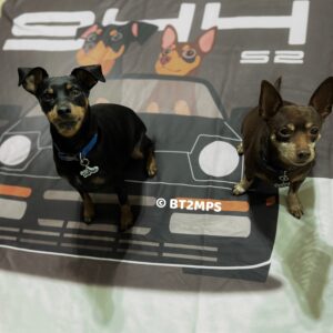 BT2MPS MinPin Miniature Pinscher Car Ride in 944 Custom Sherpa Fleece Blanket