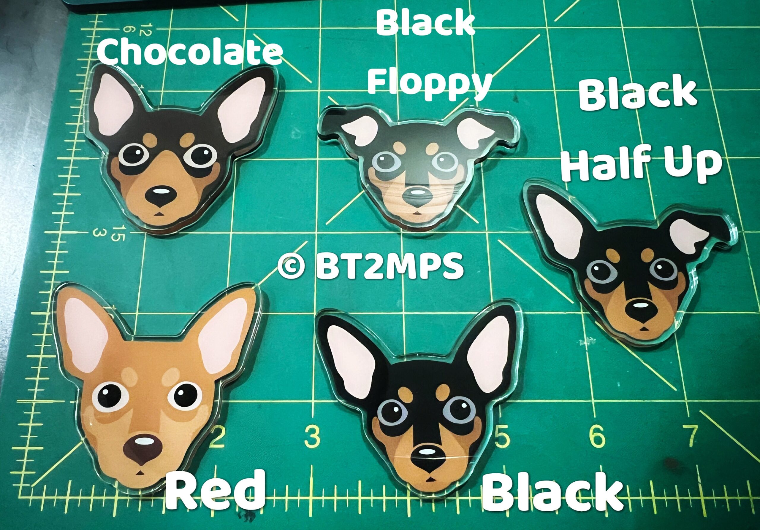 BT2MPS Min Pin / Miniature Pinscher / German Pinscher / Manchester Terrier Dog Owner Acrylic Badge Reel - Image 2