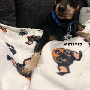Miniature Pinscher Love Soft Fleece Blanket Min Pin